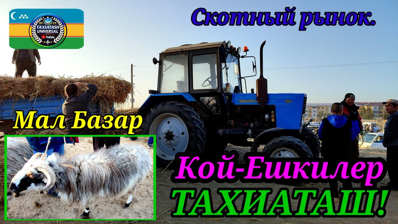 20.03.26ж.МАЛ БАЗАР СКОТНЫЙ РЫНОК #тахиаташ#каракалпакистан#бахалары#цены#кой#ешки#кошкар#козы#ылак