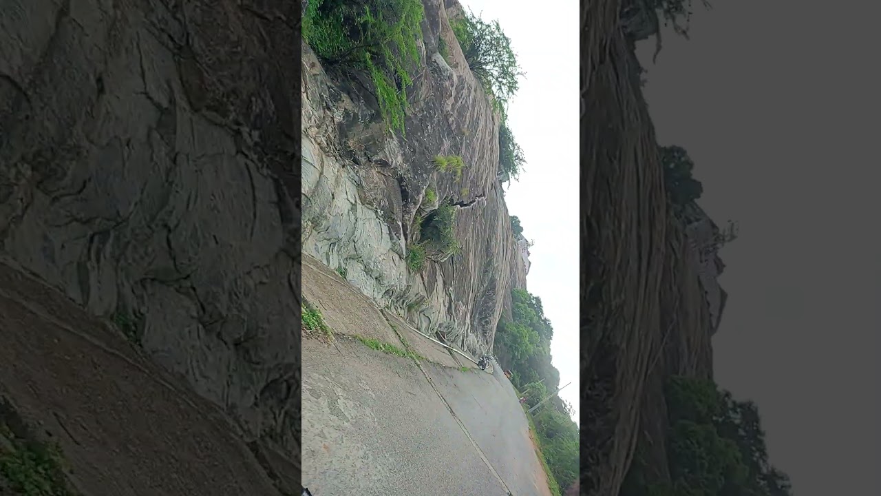 tirupati balaji g🌲🌲🌳🌴🪴💧 shortvideo##@nkgangwal