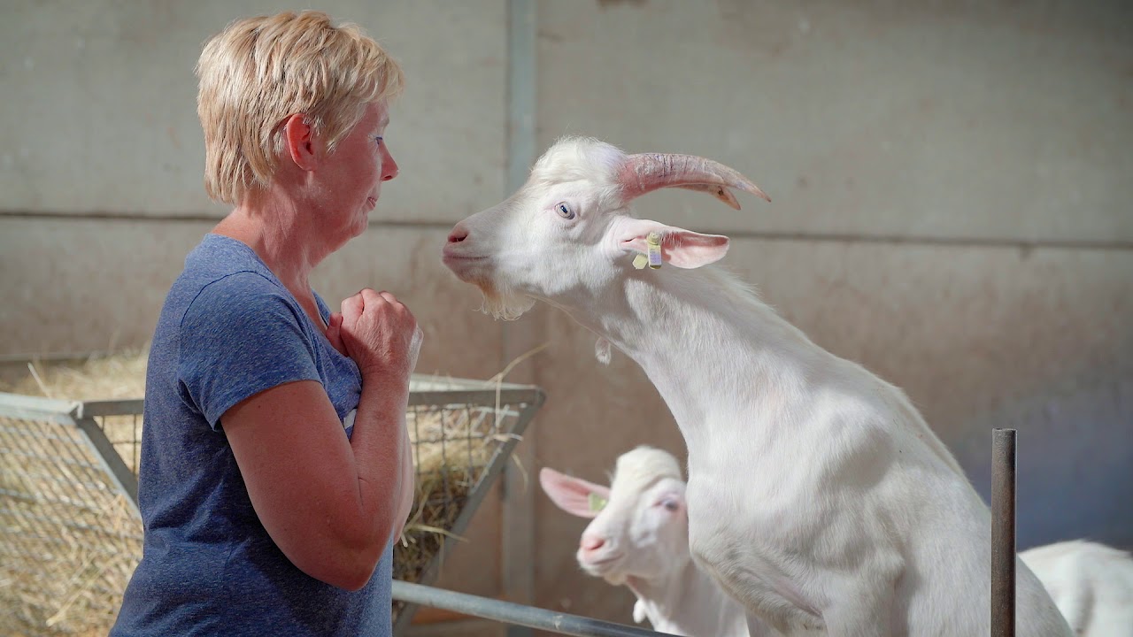 Hart voor Boeren - Jan en Jeannette van de Ven, Spoordonk
