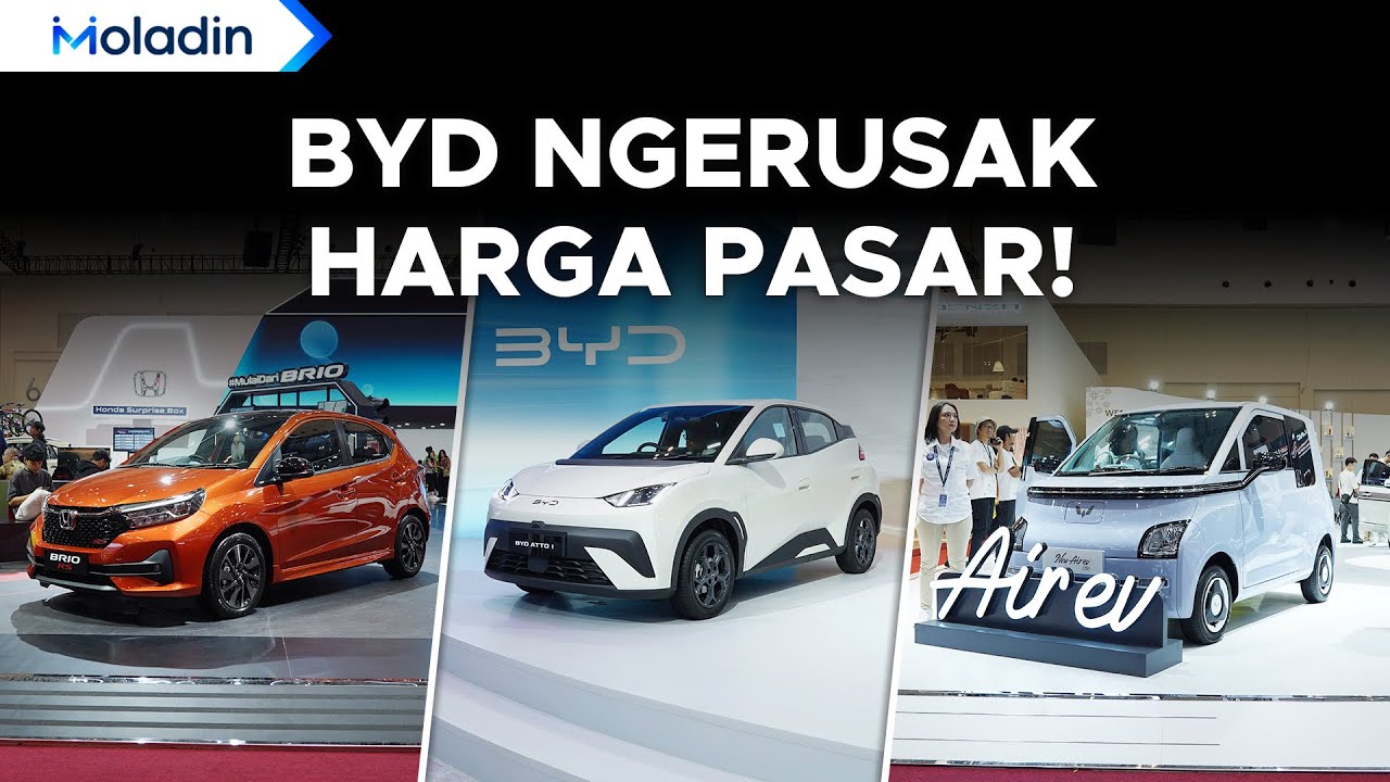 Komparasi Hatchback Murah Antara BYD Atto1, Honda Brio, Wuling Air EV! | Moladin