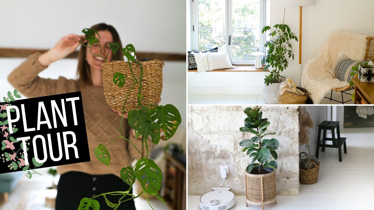 🌿 PLANT TOUR !!! 🌿 | tribulationsdanais