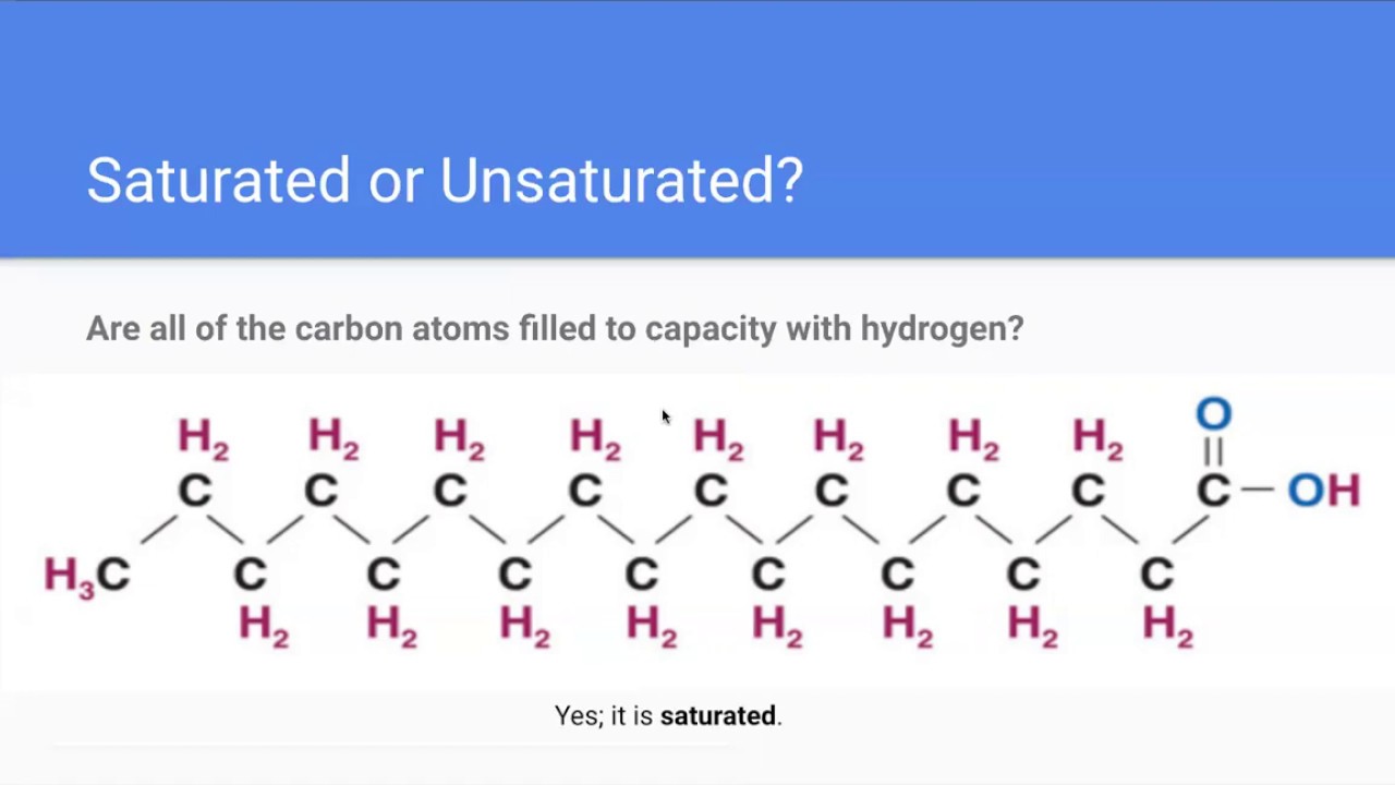 Understanding Lipids
