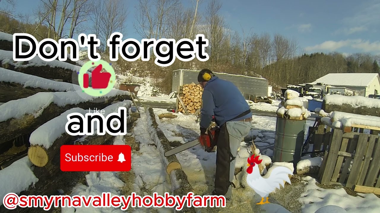 Cutting firewood with the old saws.