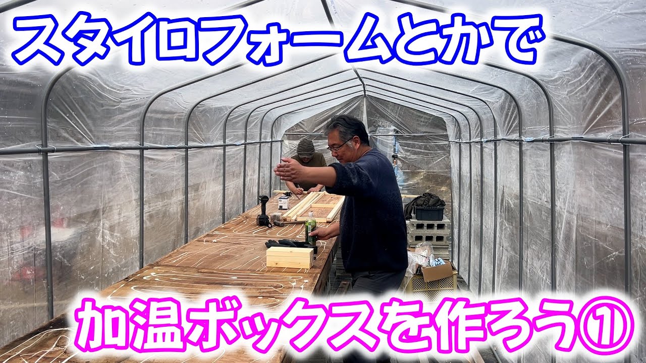 【めだか】ビニールハウスの中に加温ボックスを作ります。Ｂ型おやじ　2026年　1月　16日　投稿