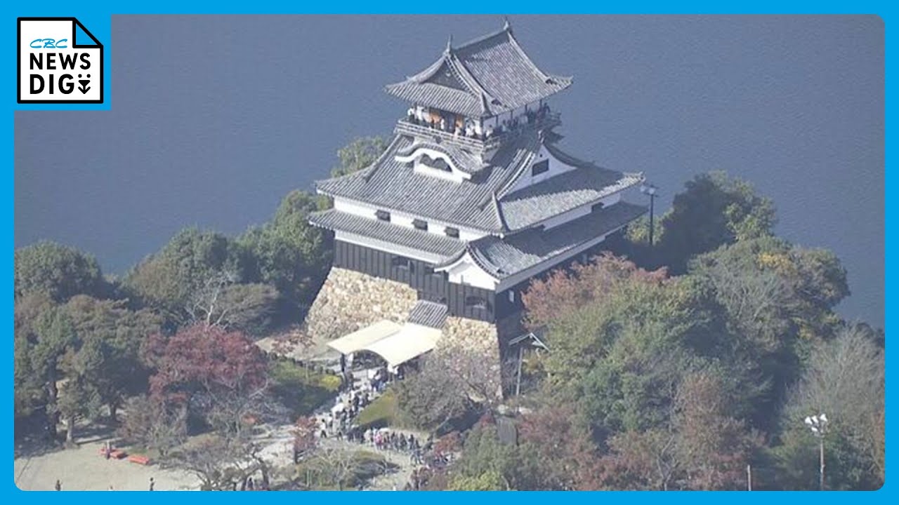 愛知･犬山城の入場者“過去最多”更新か そんな中…2026年3月から入場料2倍近く値上げ ｢文化財を守るために必要｣