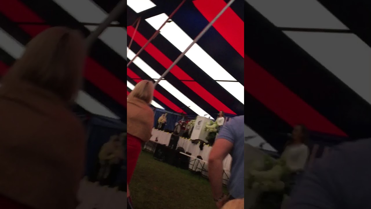 Joanna newberry 2019 convention