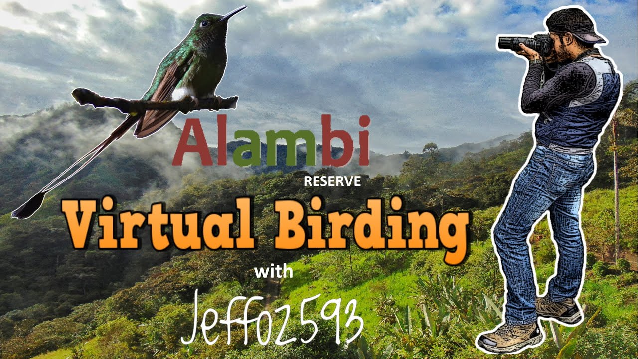 Virtual Birding in Alambi Reserve