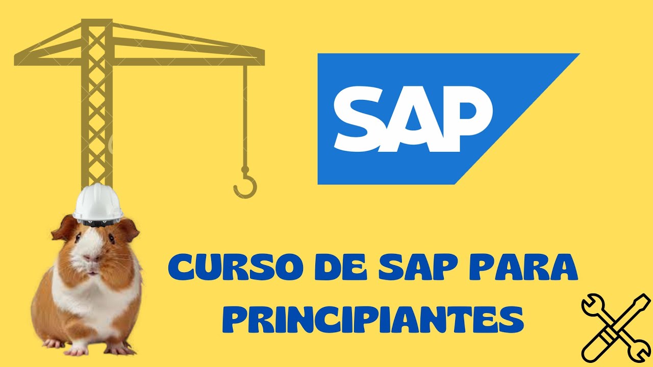 11. Datos Transaccionales en SAP I - CURSO DE SAP PARA PRINCIPIANTES