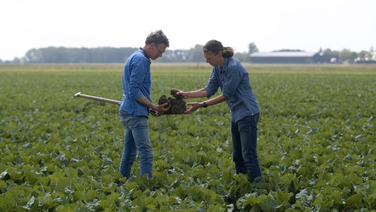 Kringlooplandbouw - Robuuste Teelt akkerbouw