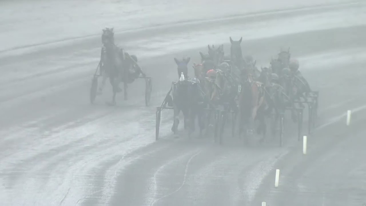 PRIX COMTE PIERRE DE MONTESSON - CRITERIUM DES JEUNES 2026