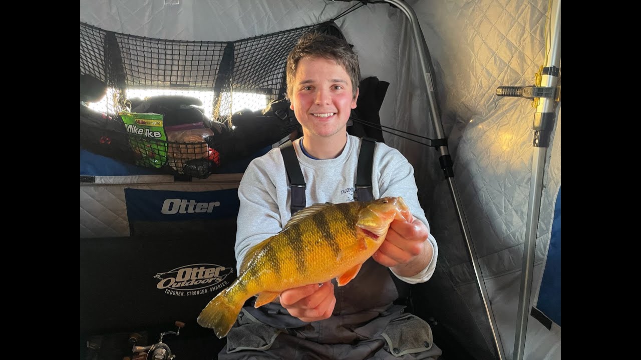 GIANT Devils Lake JUMBO Perch