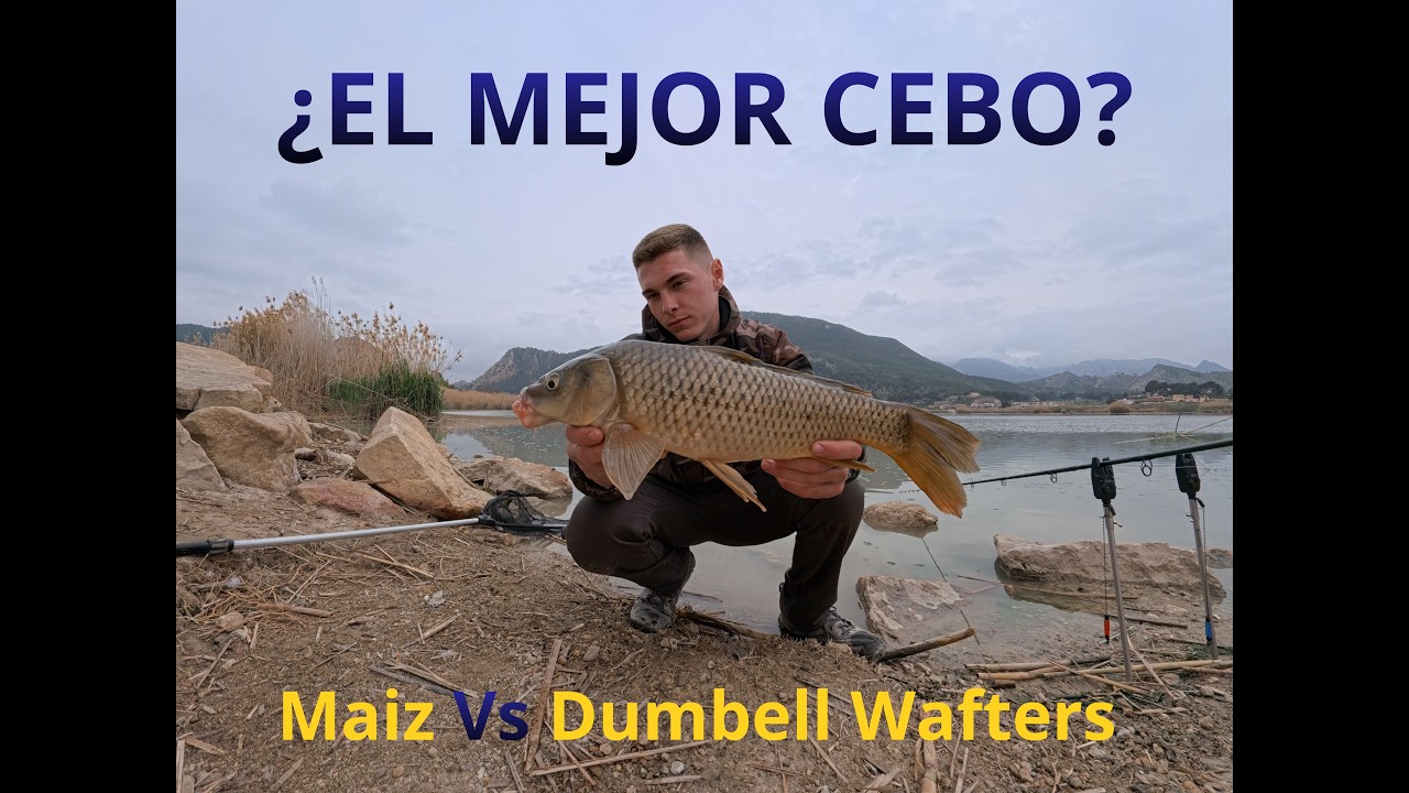 🔥🎣 Pesca en solitario en el Azud de Ojós | ¡Las carpas no paran de picar!🐟