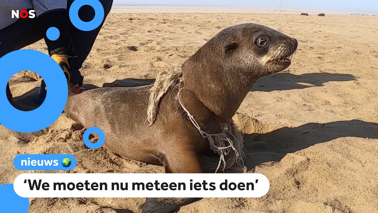 Grote vergadering over plastic afval: 'De tijd dringt'