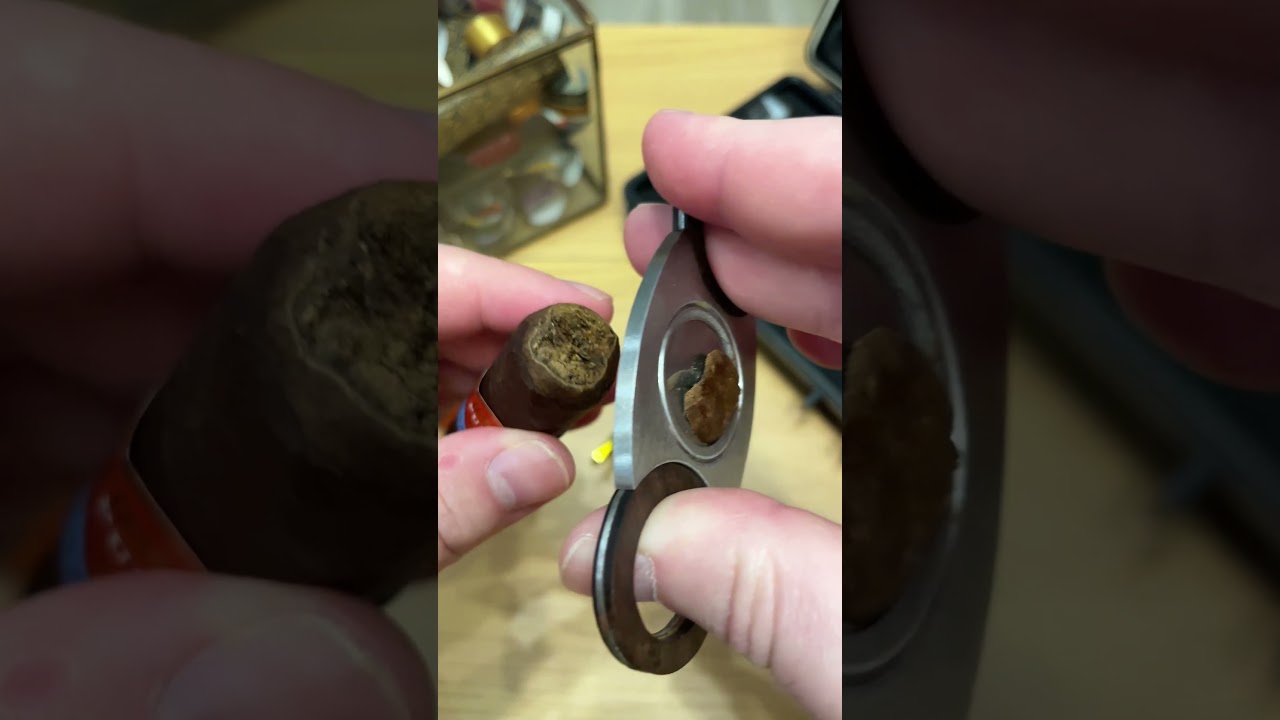 ASMR Quick Review: Punch Gran Puro Nicaragua Robusto  #cigar #cigarsandwhiskey #cigars