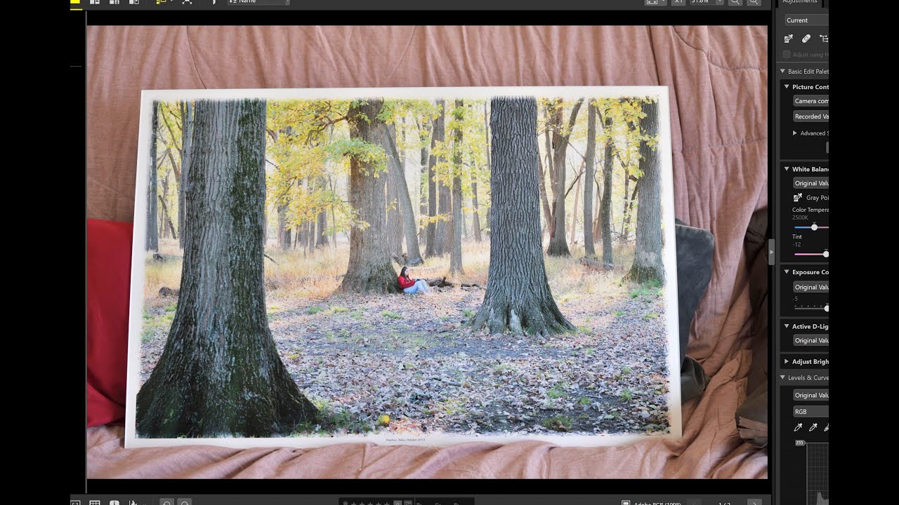 [Art] Fine Art Prints of old pics (w/ Magical Realism exaggerations) - Analysis, Responses, etc.