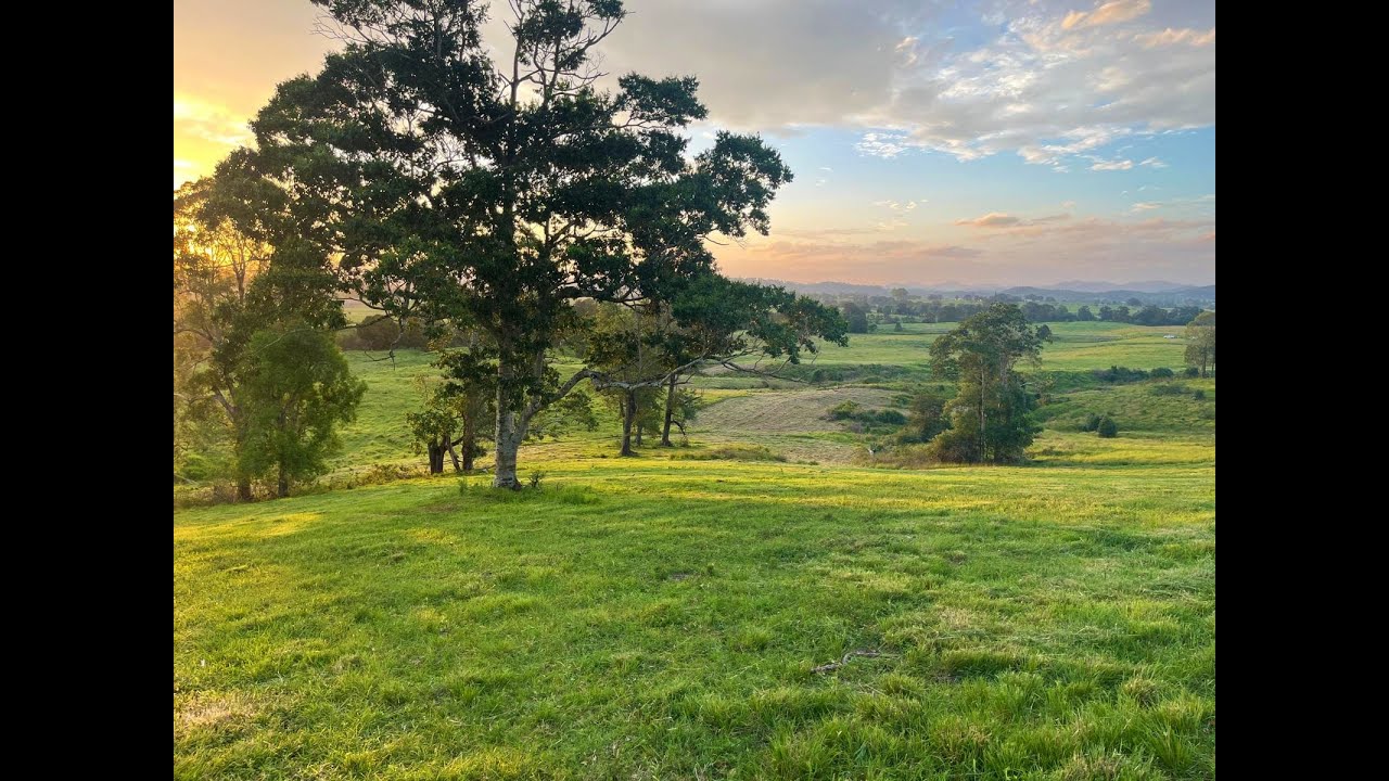 Tuchekoi - 40 acres