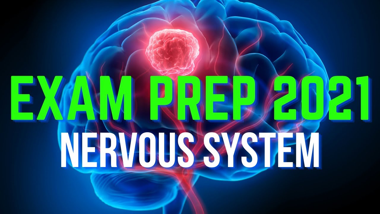 CPC, COC, CCS, CCS-P EXAM PREP - NERVOUS SYSTEM