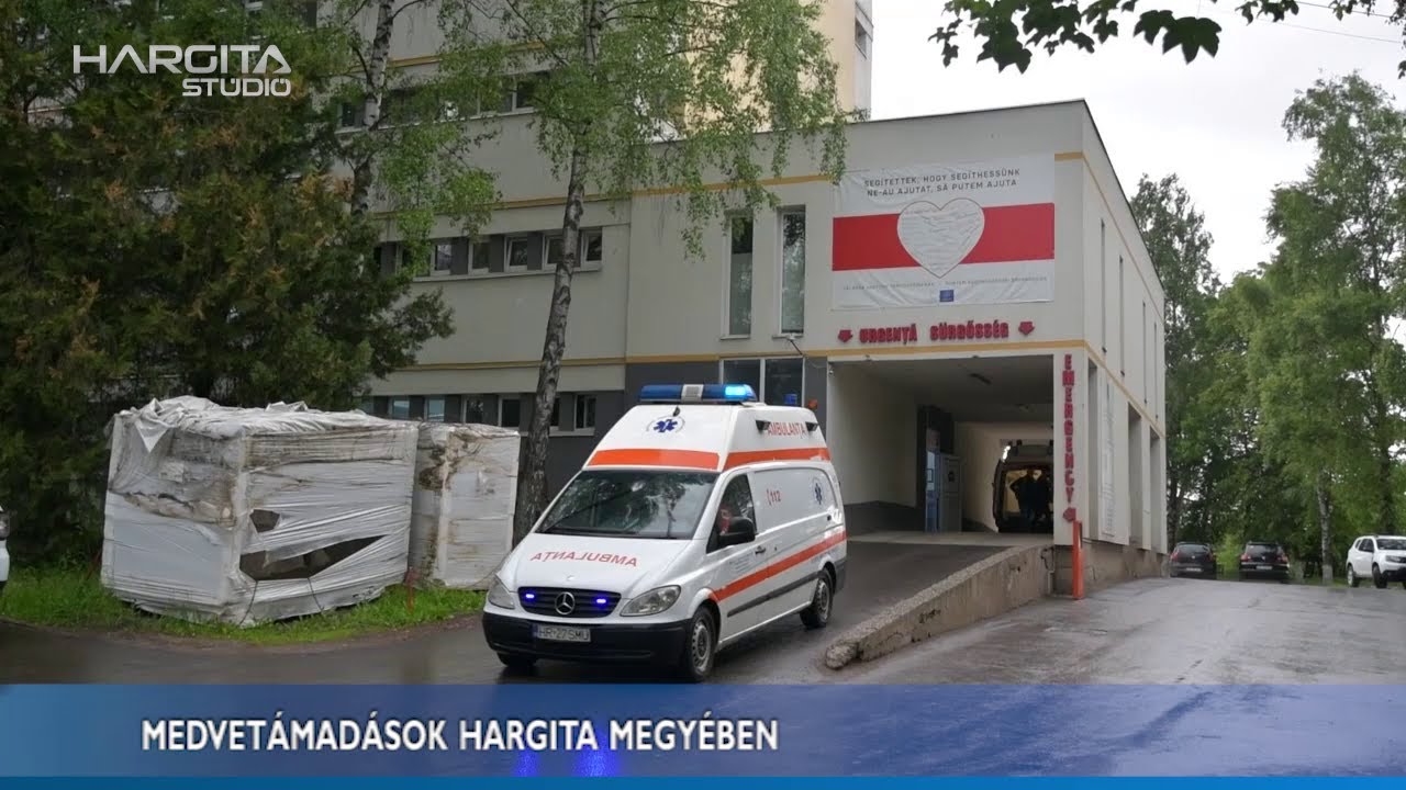 Medvetámadások Hargita megyében