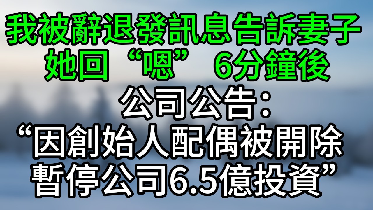 我被辭退，發訊息告訴妻子，她回“嗯”。6分鐘後，公司公告：“因創始人配偶被開除，暫停司6.5億投資”