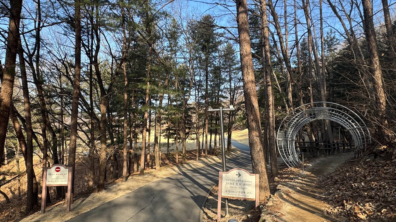 오크밸리 다둔길 트레일 러닝 10km (Oak Valley Dadun-gil Trail Run) POV
