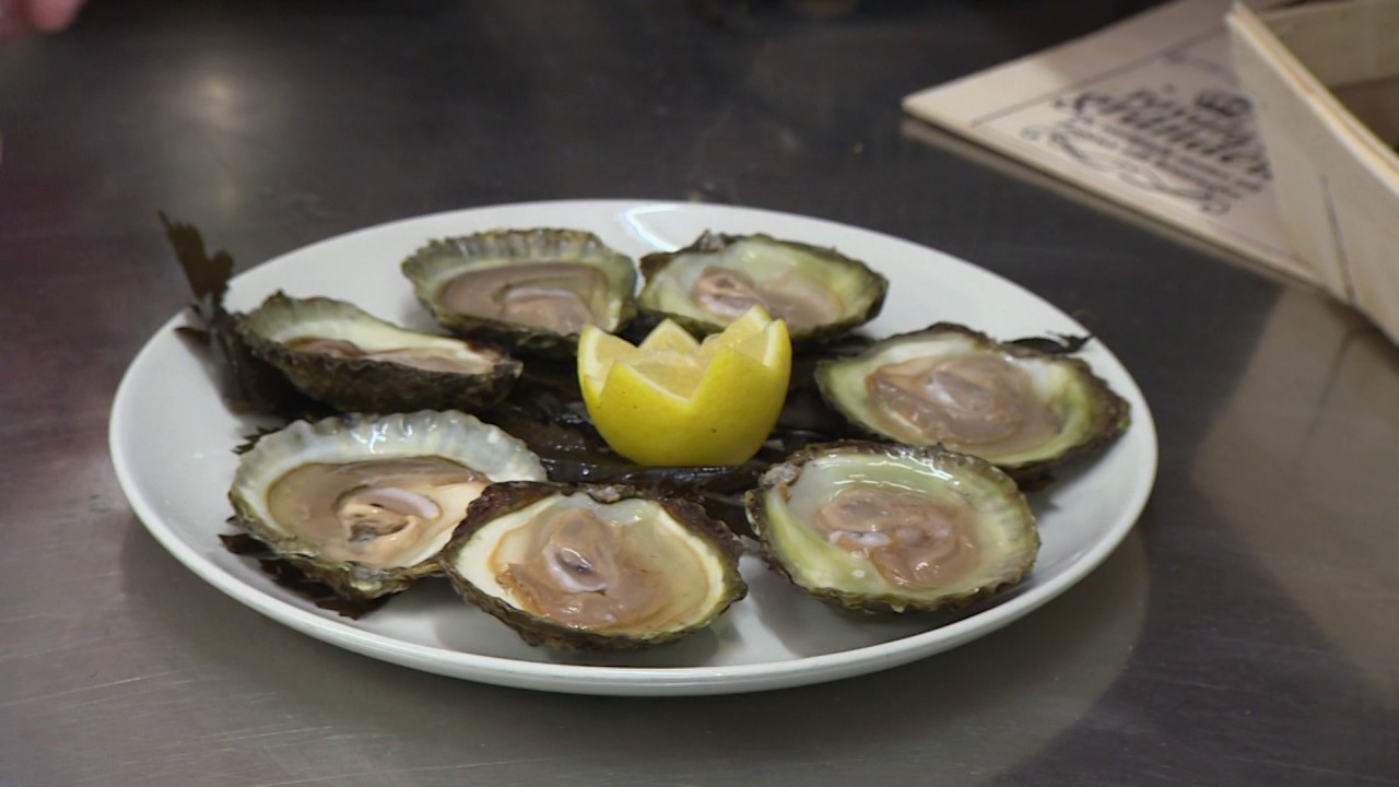 Trips & Travel RTL4 - Hotel Restaurant Piccard