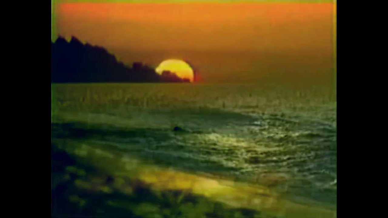 Final Meta Vaporwave.Extra  mp4