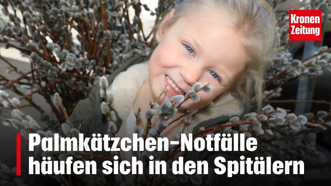 Palmk&auml;tzchen-Notf&auml;lle h&auml;ufen sich in den Spit&auml;lern | krone.tv NEWS