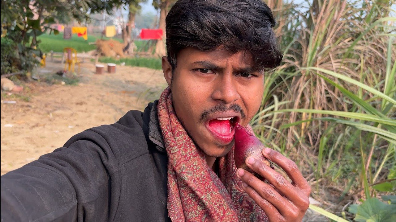 Natural Lipstick 💄😂Vlog215/