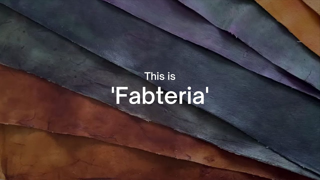 Fabteria: leather-like material grown by bacteria