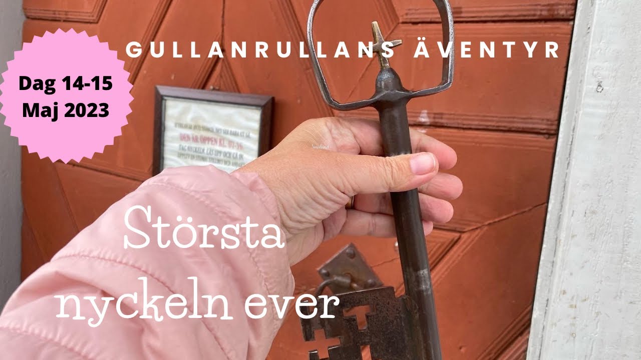 Vemdalen. Härjedalen och vi ser ett vilt djur.