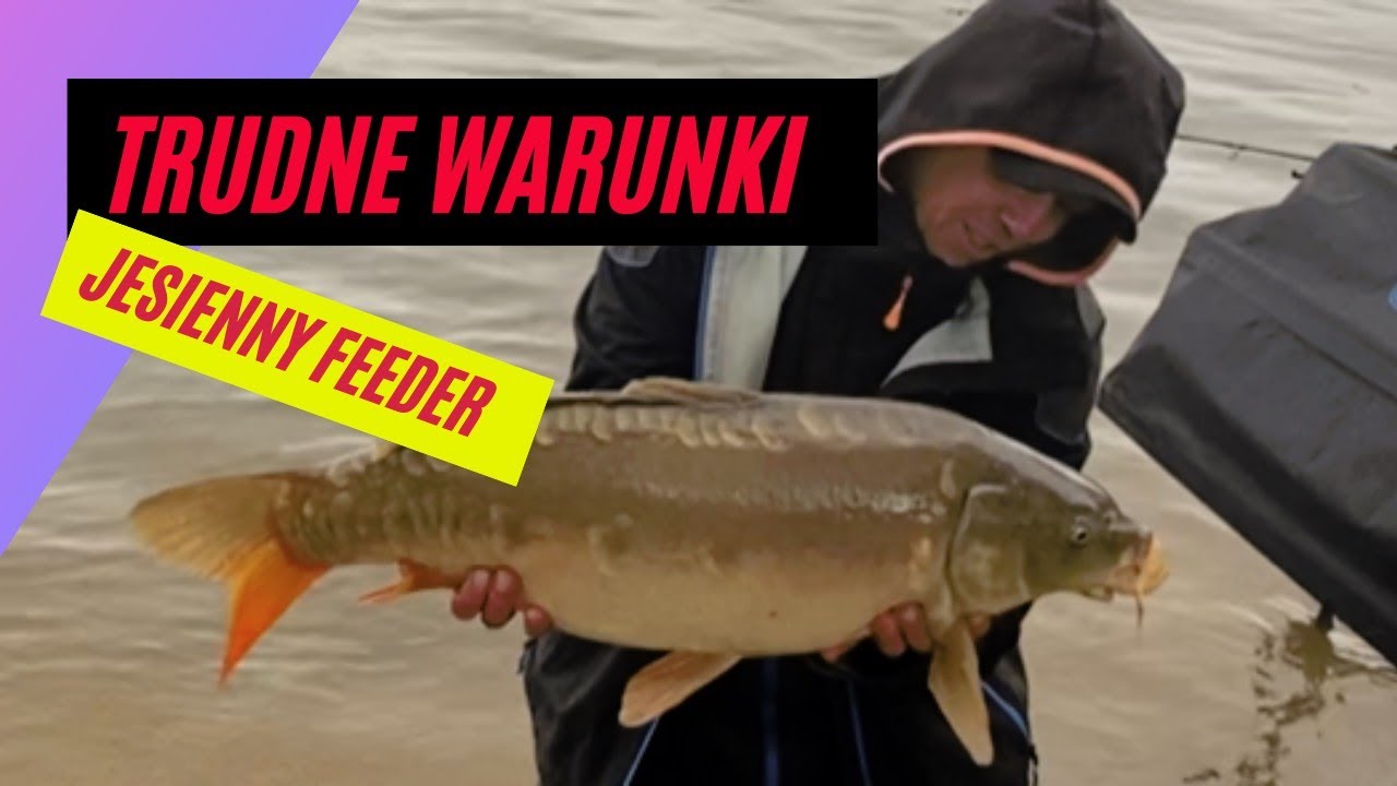 TRUDNE WARUNKI