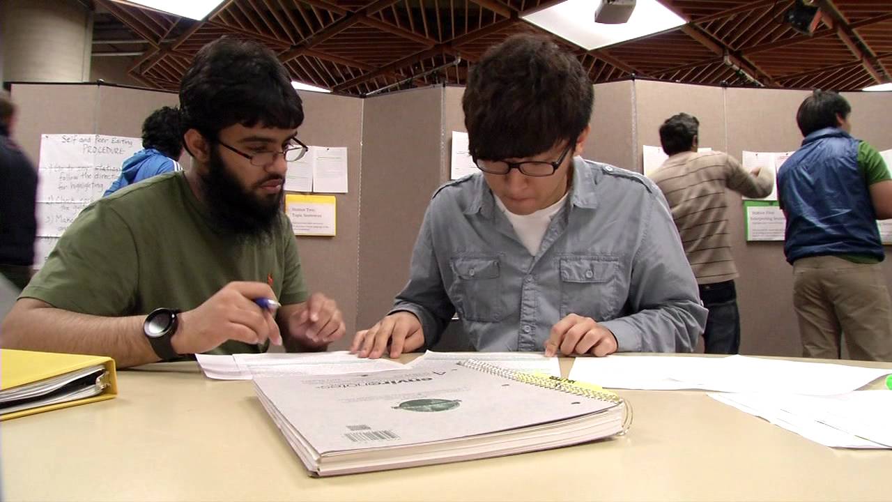 Alternative Assessment:  Peer Feedback in Writing