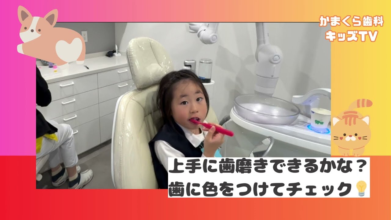 ［かまくらキッズ］上手に歯磨きできるかな？歯に色をつけてチェック💡
