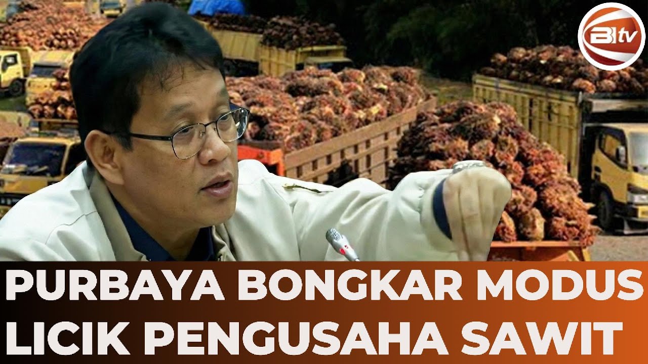 Geram! Purbaya Ungkap Liciknya Pengusaha Sawit Mainkan Harga: Negara Dikibuli Selama Ini!