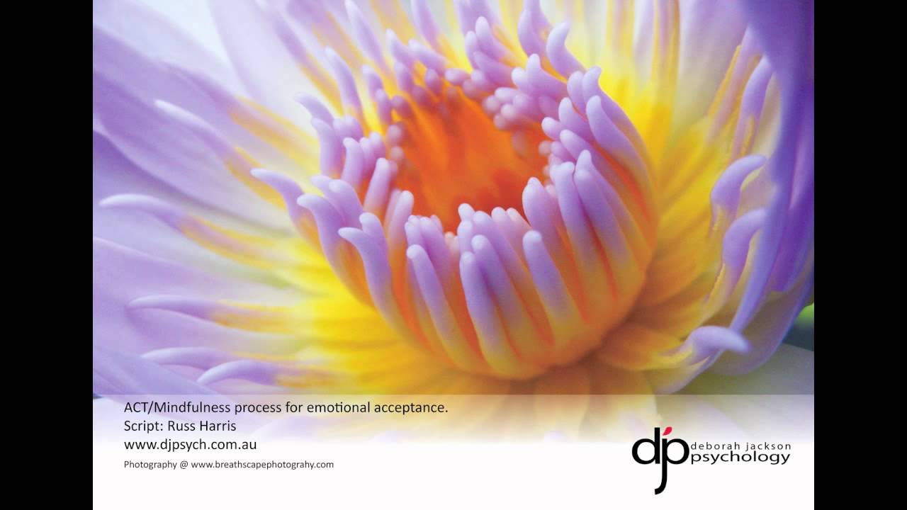 ACT/Mindfulness Emotional Acceptance process