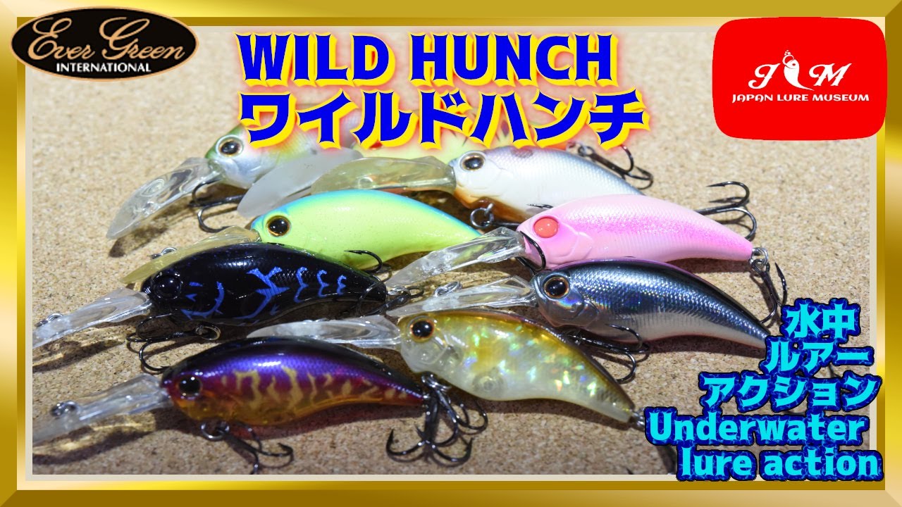 【水中動画】【WILD HUNCH】ブレないあなたにブレないクランク。永遠の定番です！！　エバーグリーン　ワイルドハンチ　わいるどはんち
