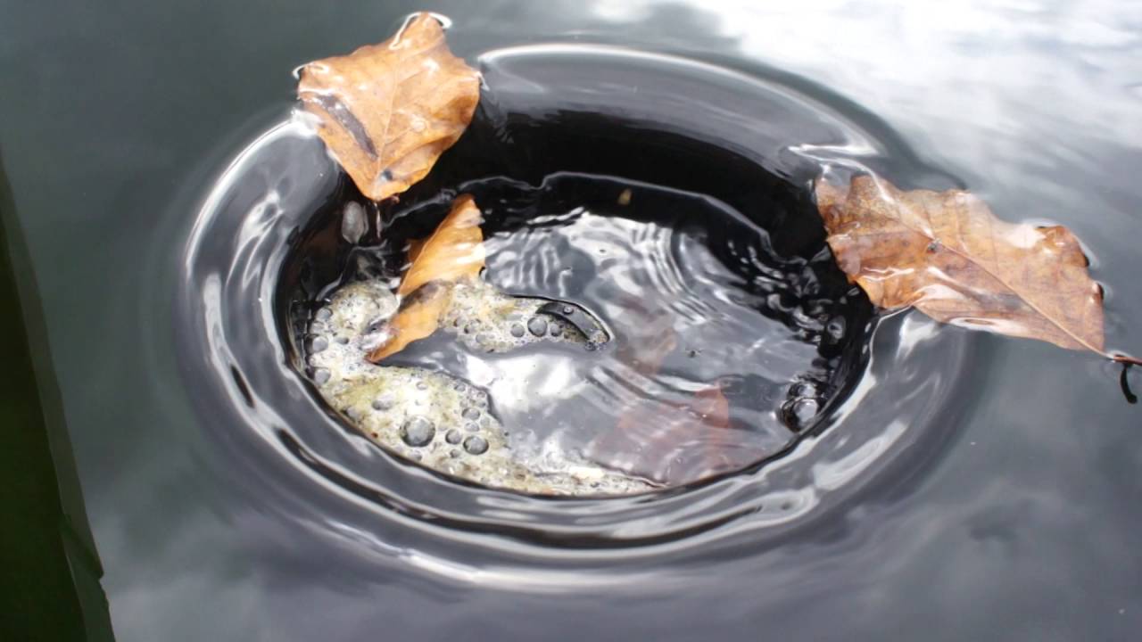 Oase AquaSkim Shop4koi