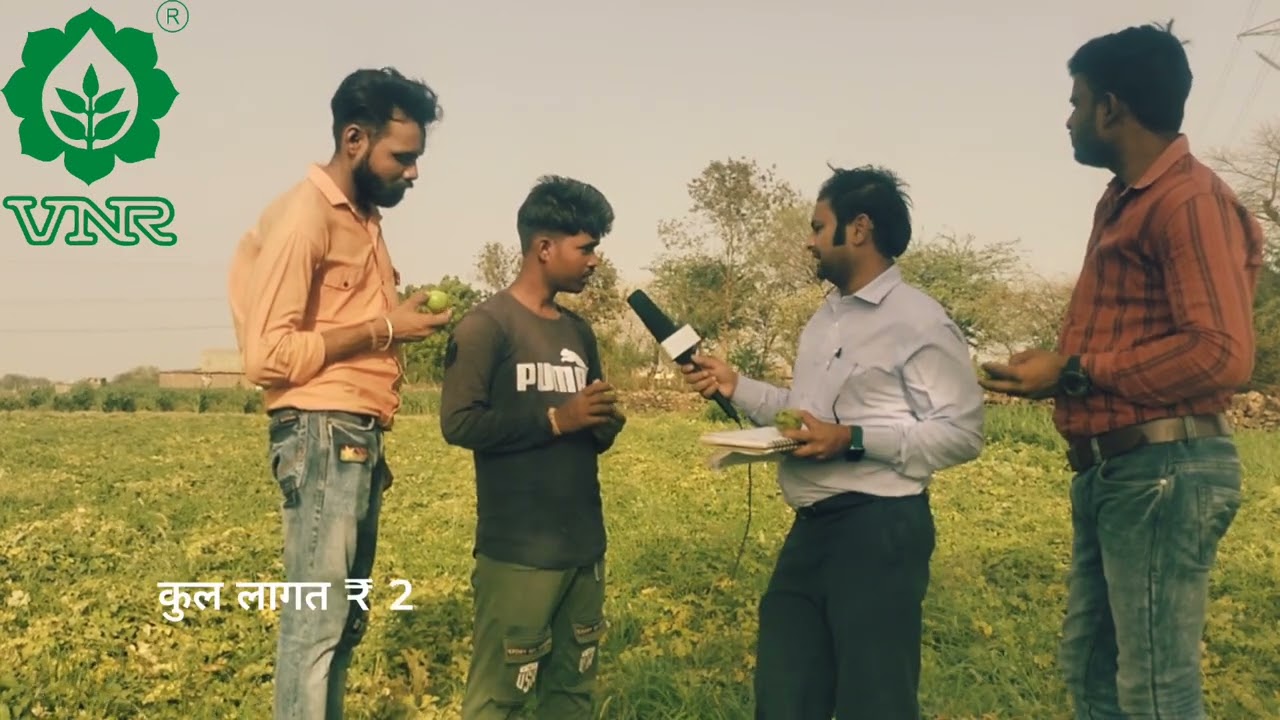 वी.एन.आर (हाइब्रिड टींडा) || किसान : दिनेश कश्यप || गाँव: बाहरी || छाबरा बारां राजस्थान ||