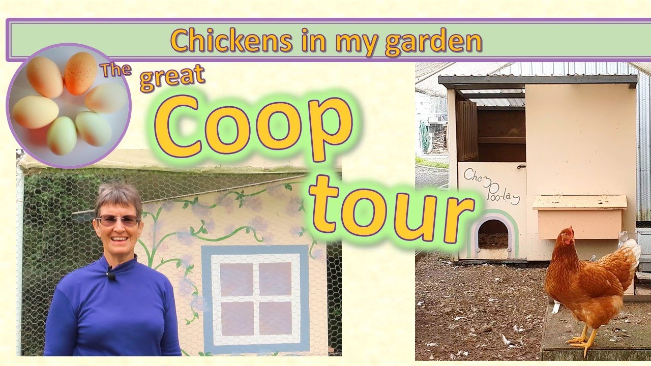 Coop Tour - my complete set-up for adult chickens