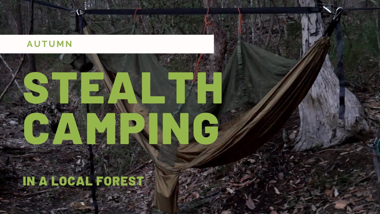 Stealth camping in a local forest