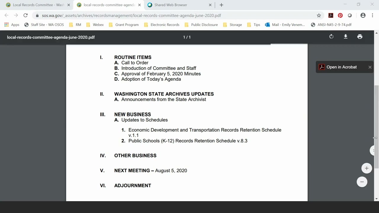 Local Records Committee Meeting - June 3, 2020