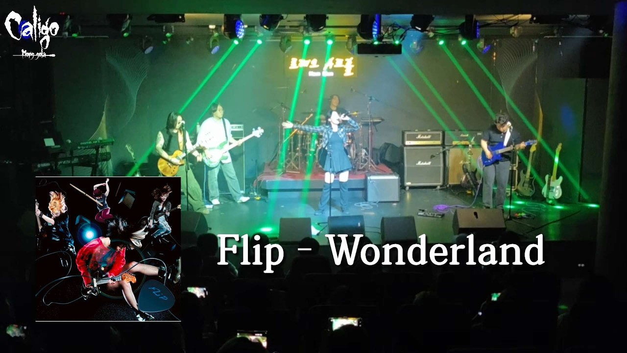 Flip - Wonderland | 직장인밴드 Caligo | cover