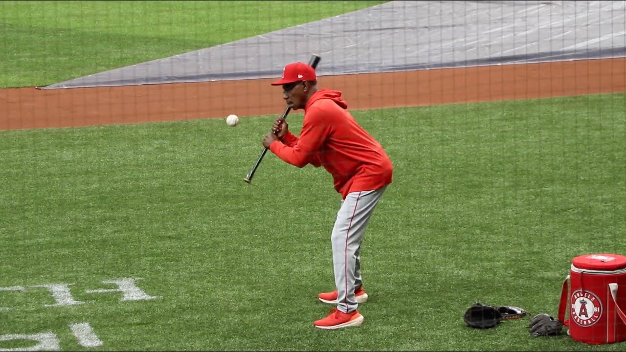We need shorter baseball bats