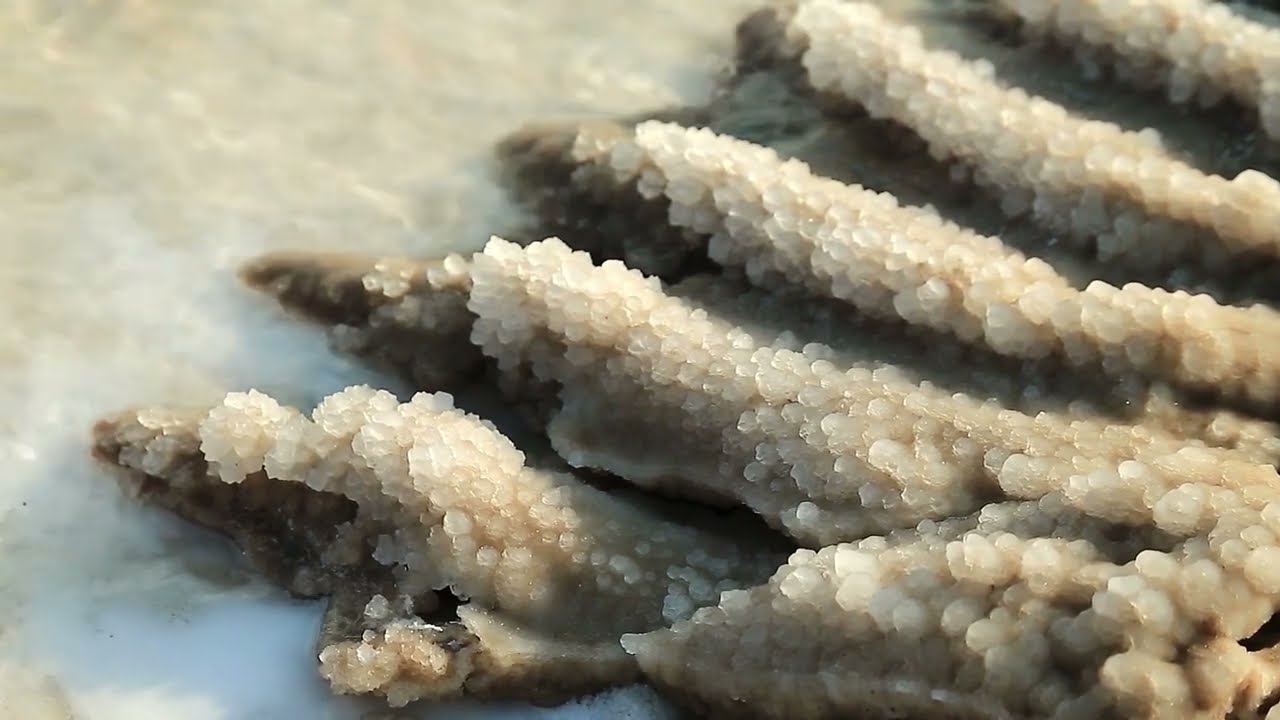 Characteristics of Sedimentary Rocks: Size, Provenance, and Composition