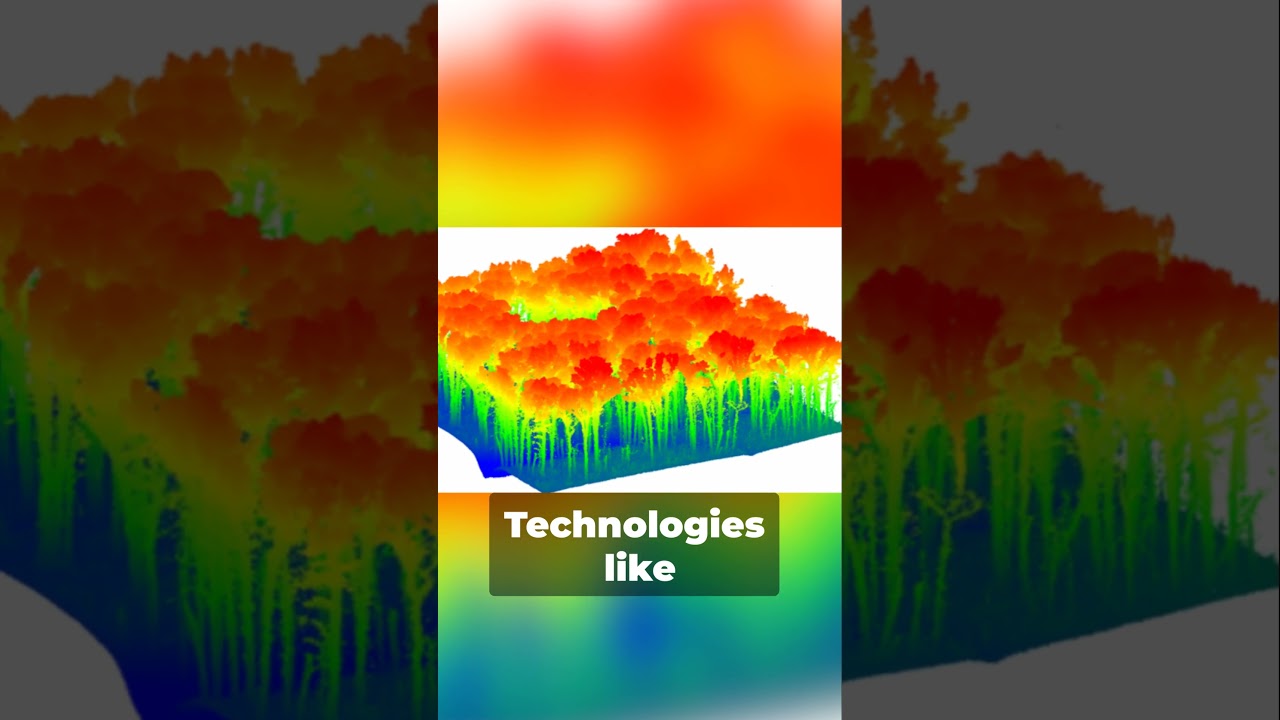 SHORT How to create a reliable forest inventory using Earth Observation data