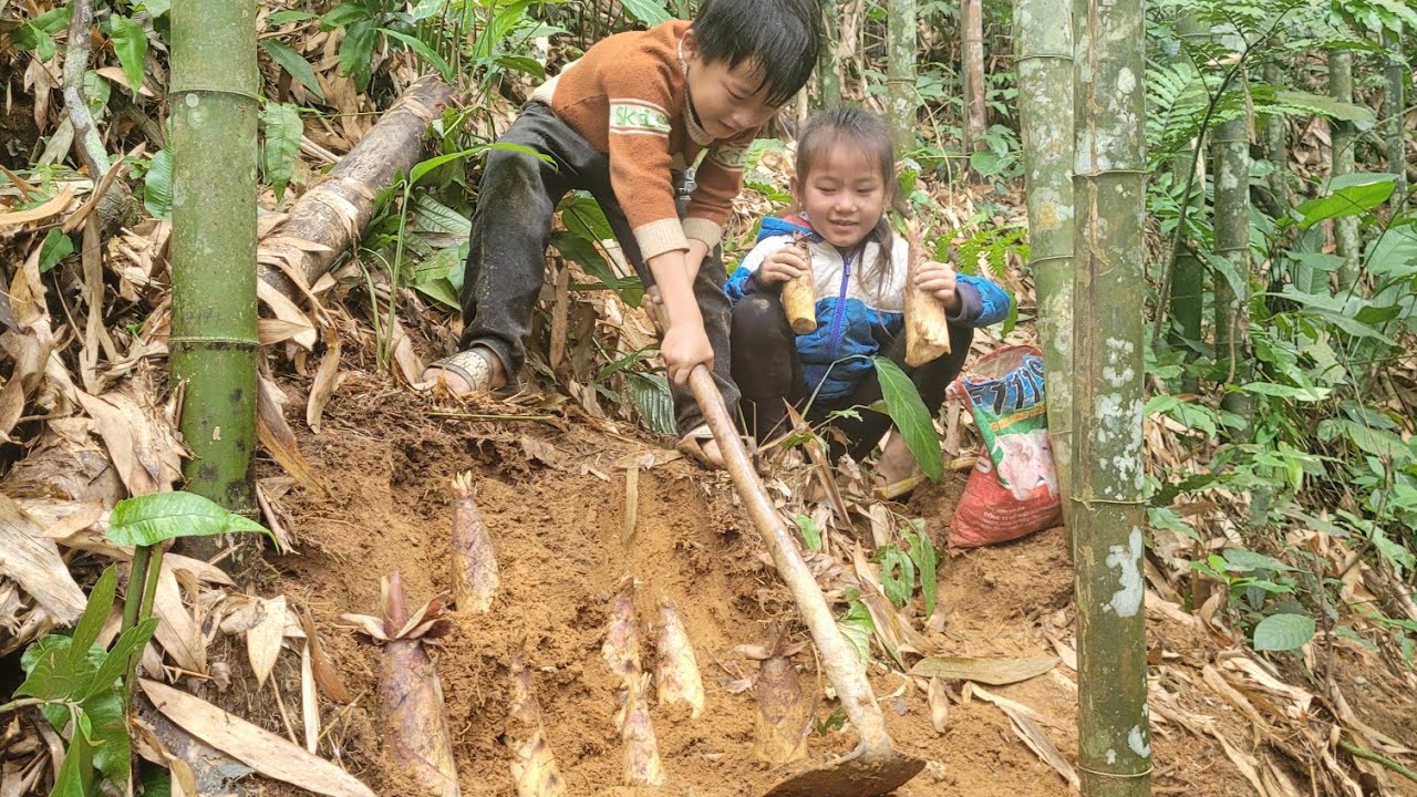 After school, the two brothers went to dig bamboo shoots.