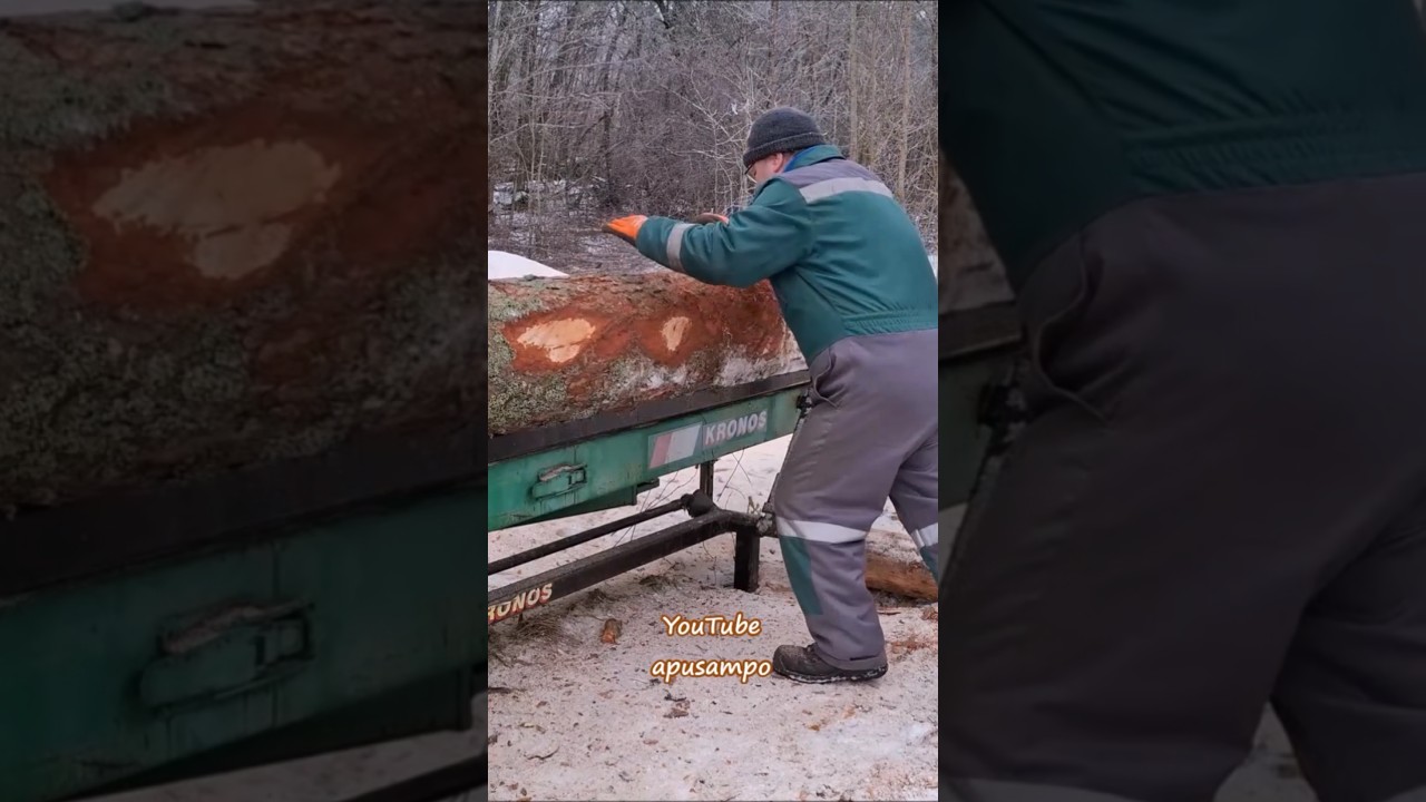 Turning the log onto the saw table. #apusampo #sawmill #woodworking