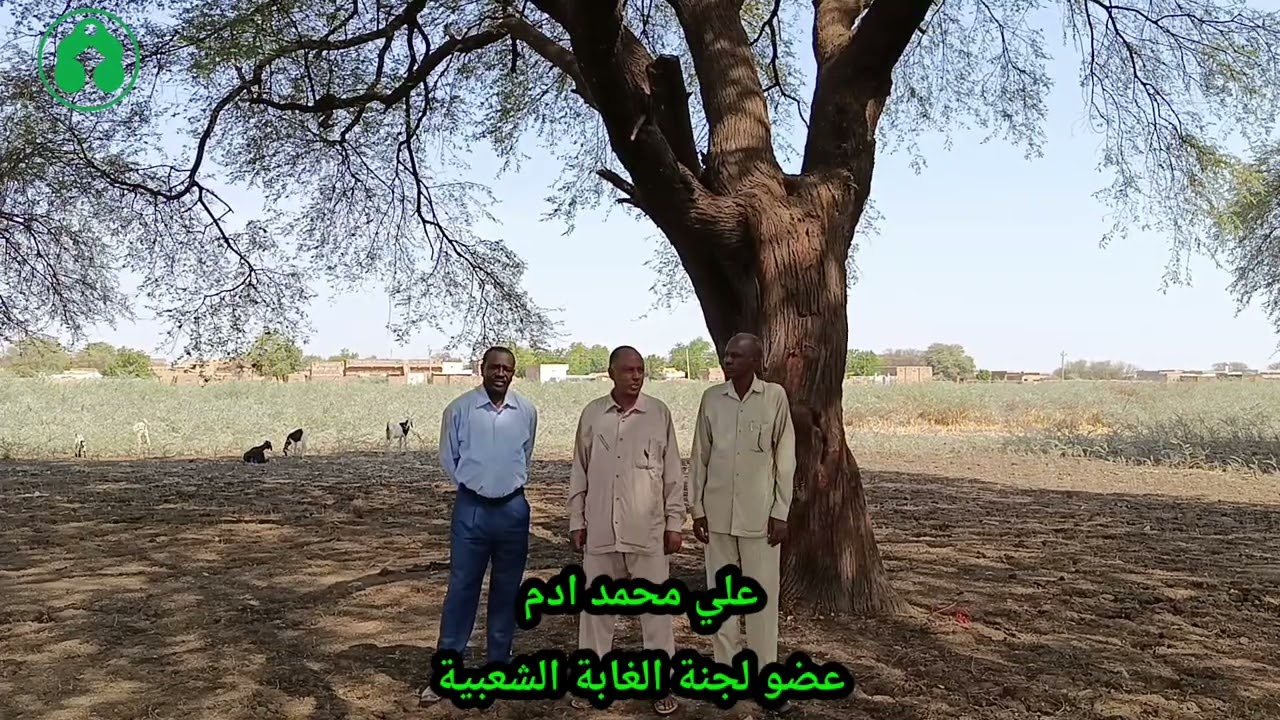 ١ فبراير ٢٠٢٦