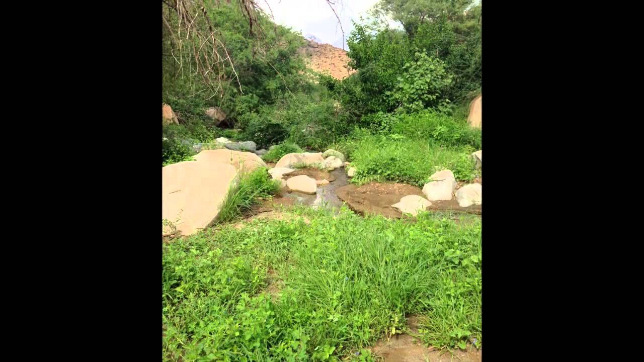 مناظر من جبل بطحه ثربان