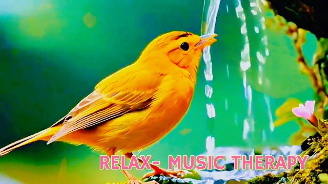 Spring Birds with Gentle Piano 🎹 Boost Your Mood, Calm Your Soul, and Enhance Inner Peace 🌸🌿Relaxing